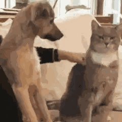 20260525140355front2_0_7488241_FpsFqDrYpKzsYjzYSSv8N8PQHUmu.gif