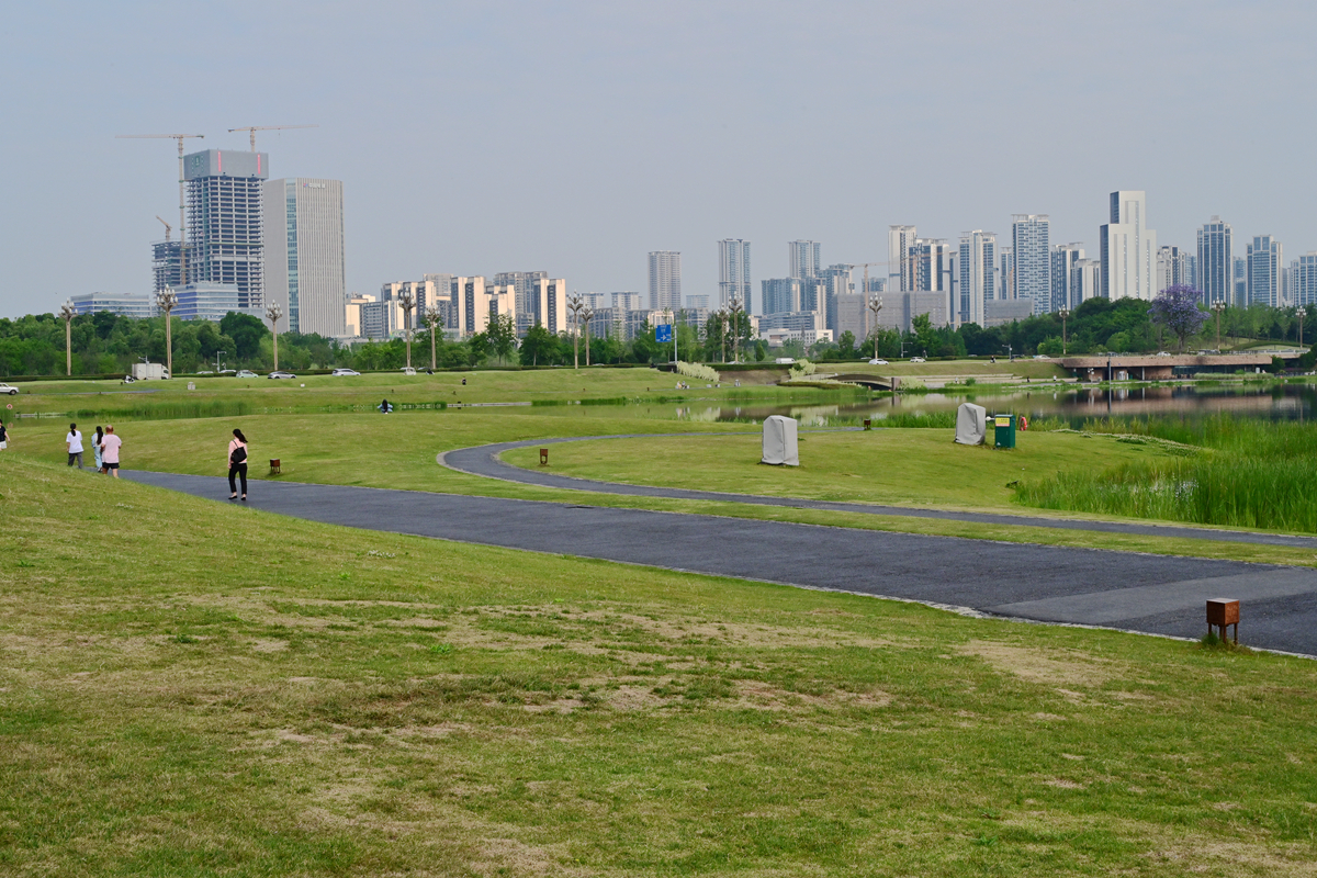 DSC_3338_����.jpg