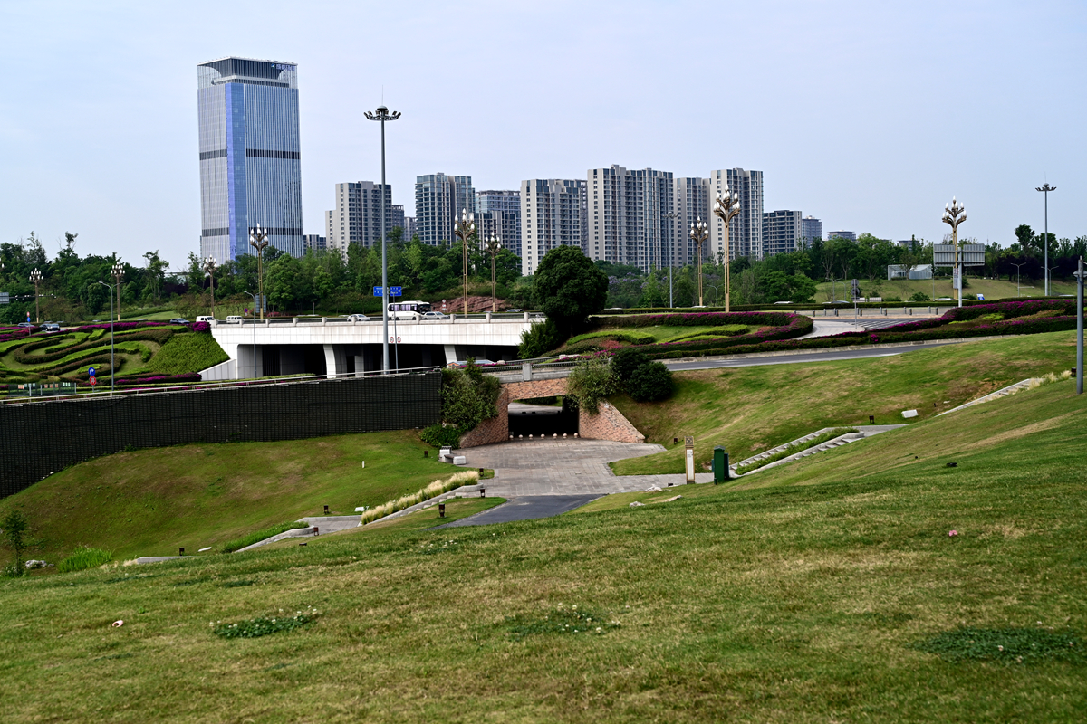 DSC_3378_����.jpg