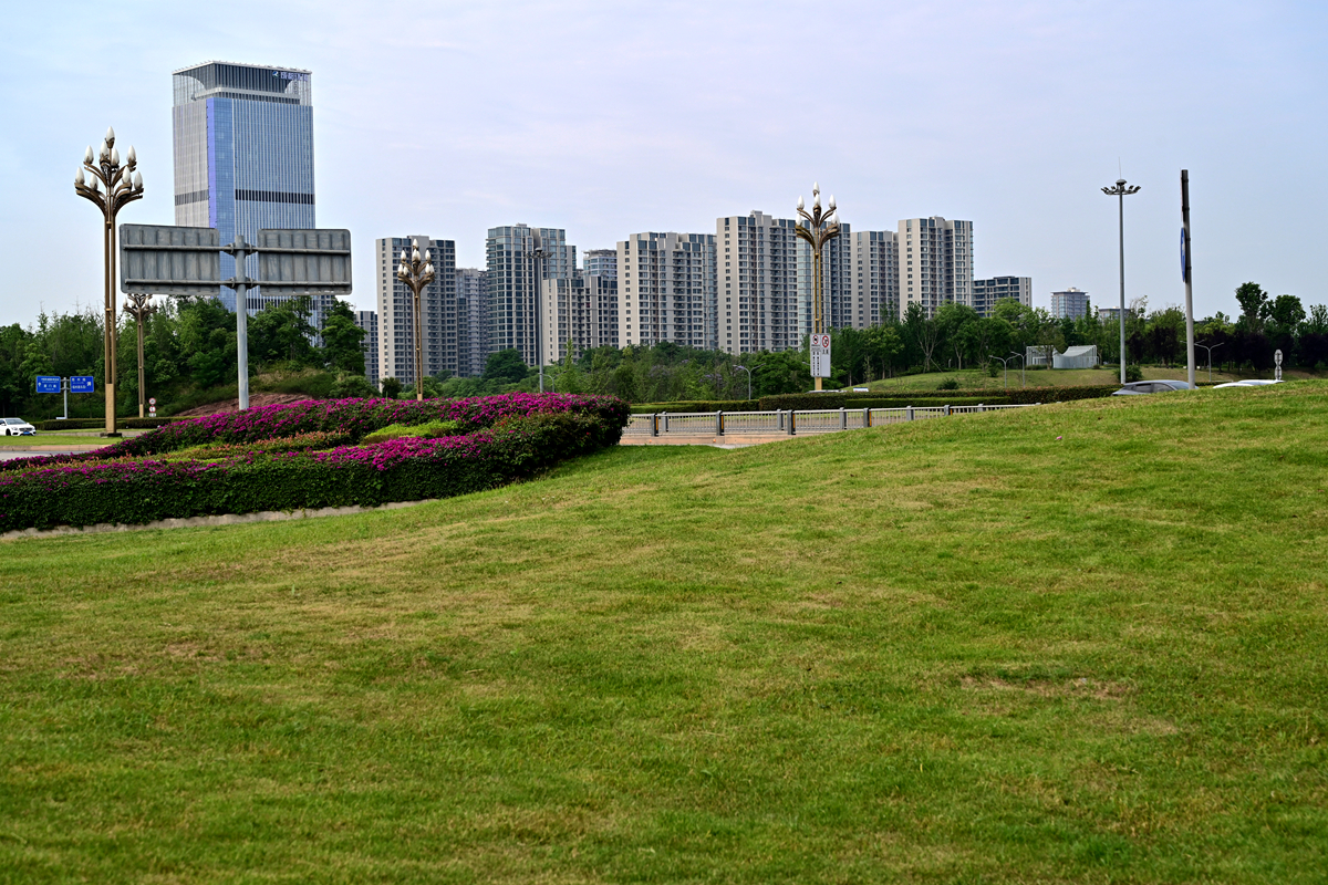 DSC_3382_����.jpg