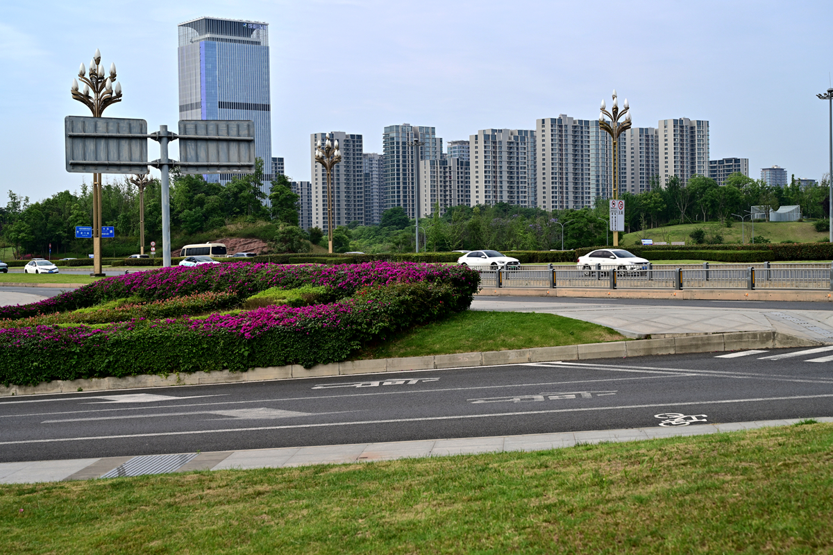 DSC_3383_����.jpg