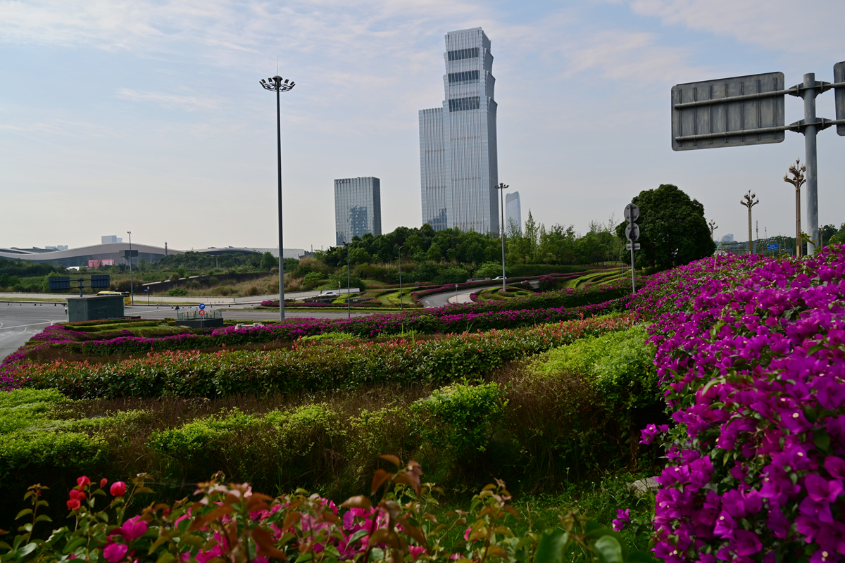 DSC_3386_����.jpg