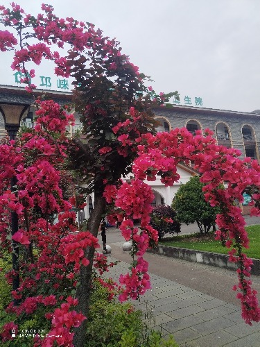 IMG_20260514_094458.jpg