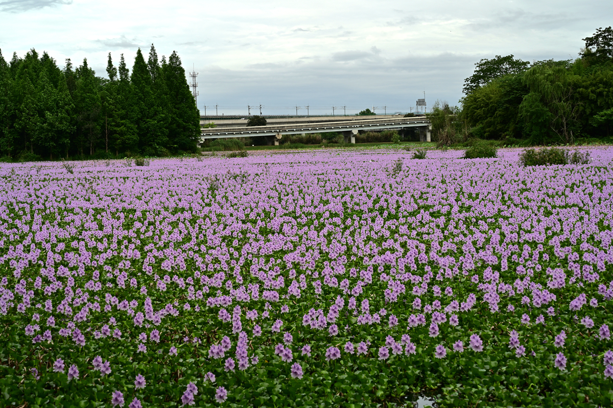 DSC_3546_����.jpg
