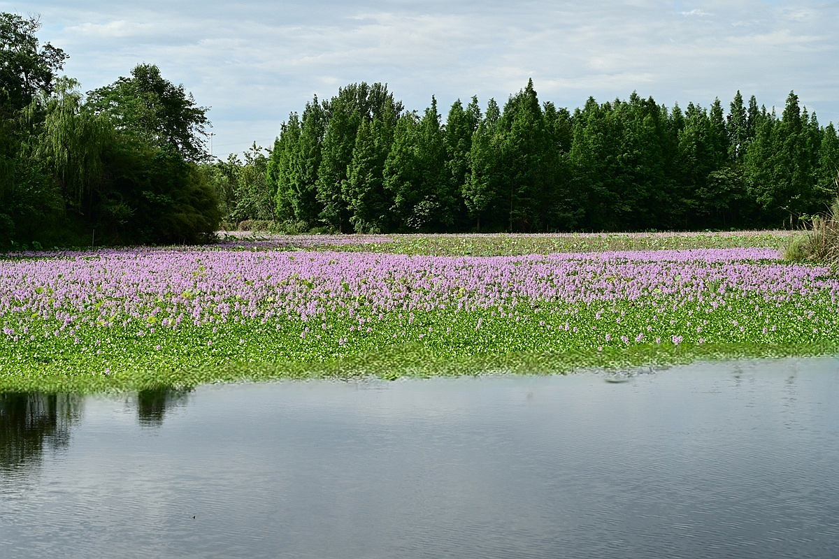 DSC_3465_����.jpg