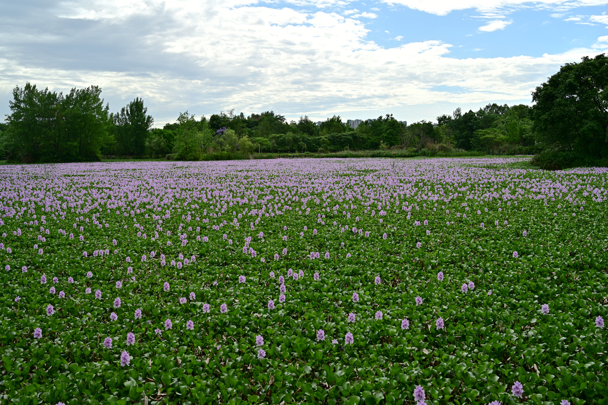 DSC_3486_����.jpg