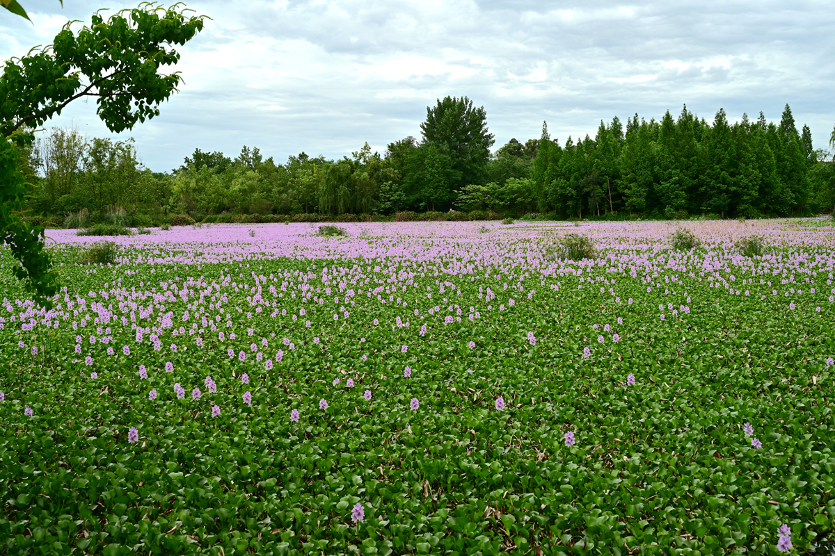 DSC_3489_����.jpg