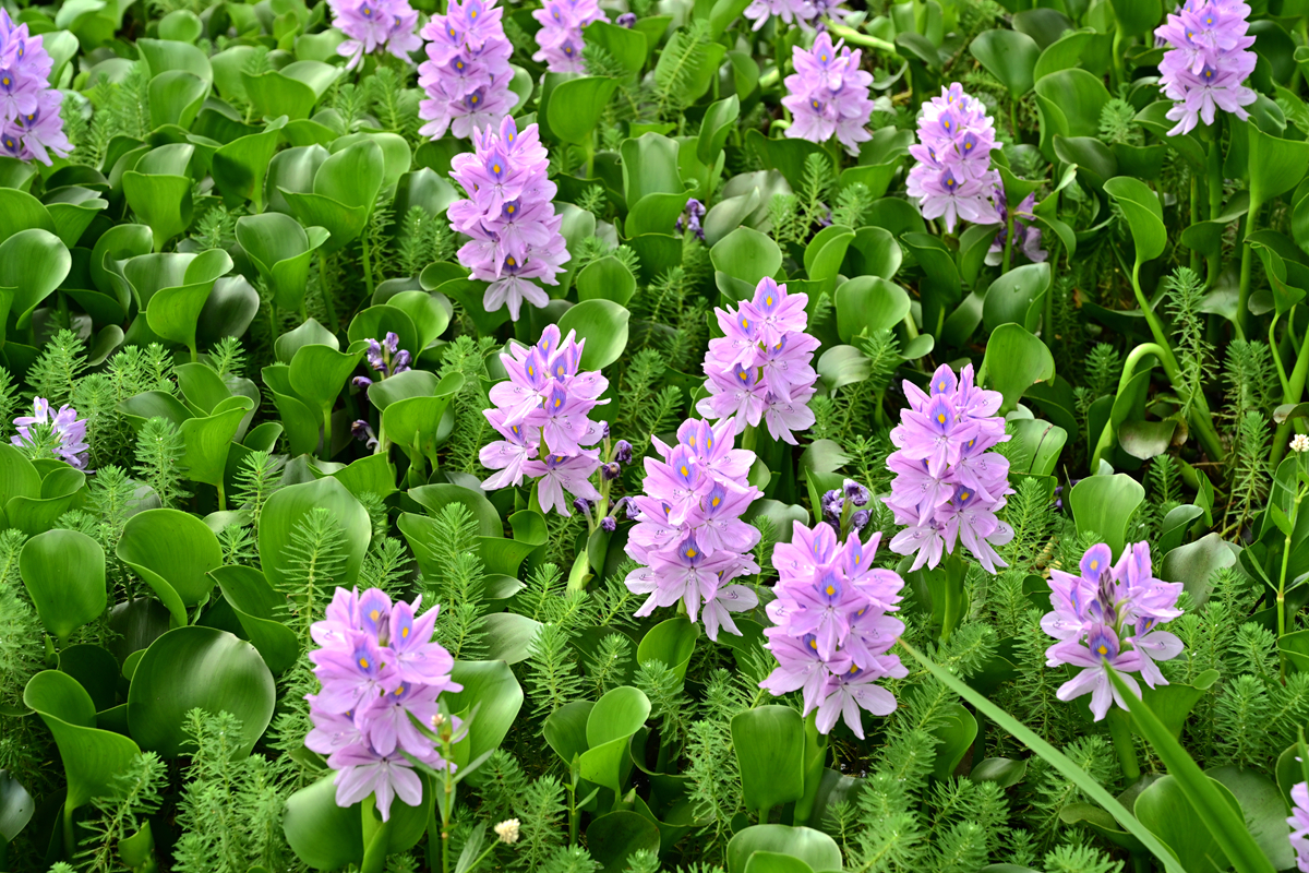 DSC_3508_����.jpg