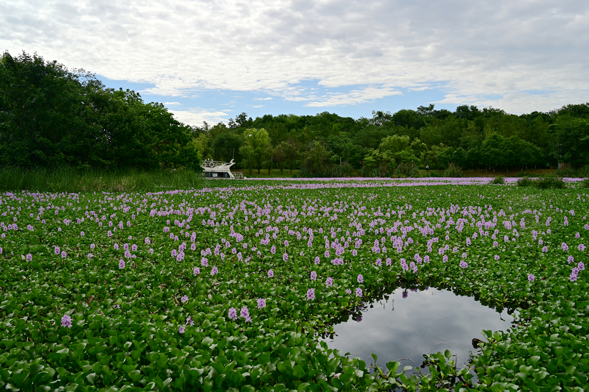 DSC_3498_����.jpg
