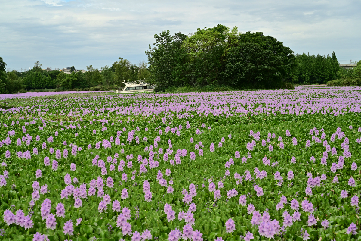 DSC_3516_����.jpg