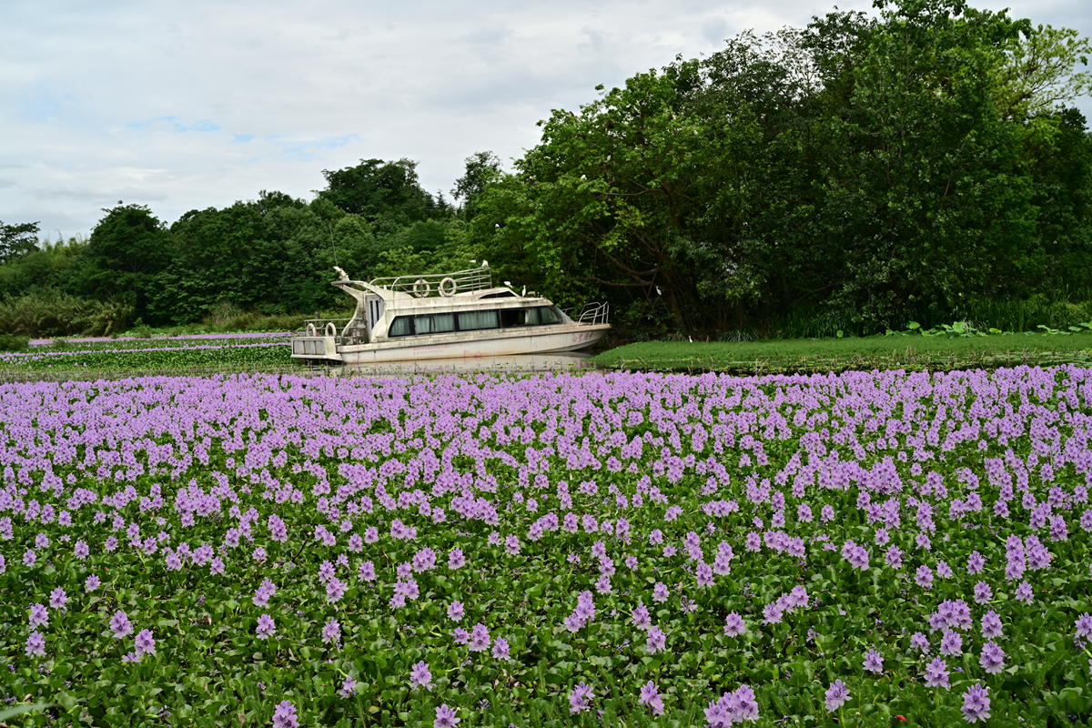 DSC_3540_����.jpg