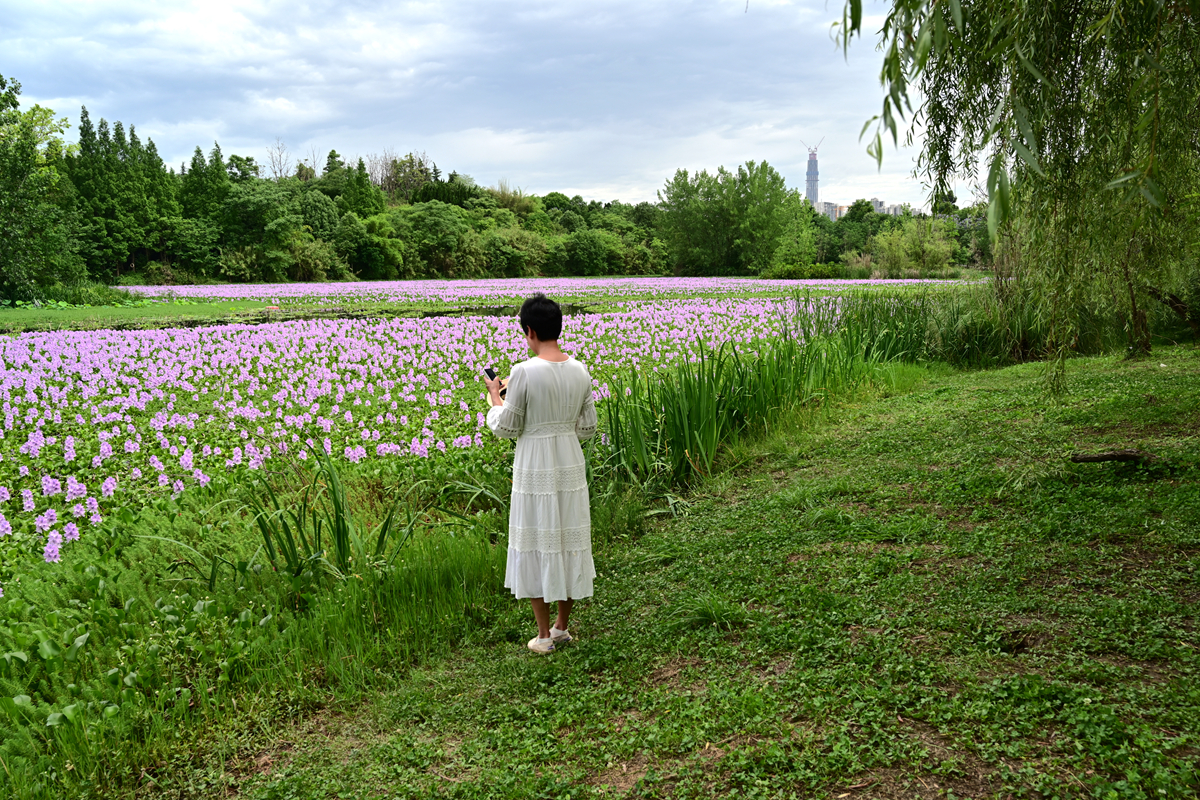 DSC_3543_����.jpg