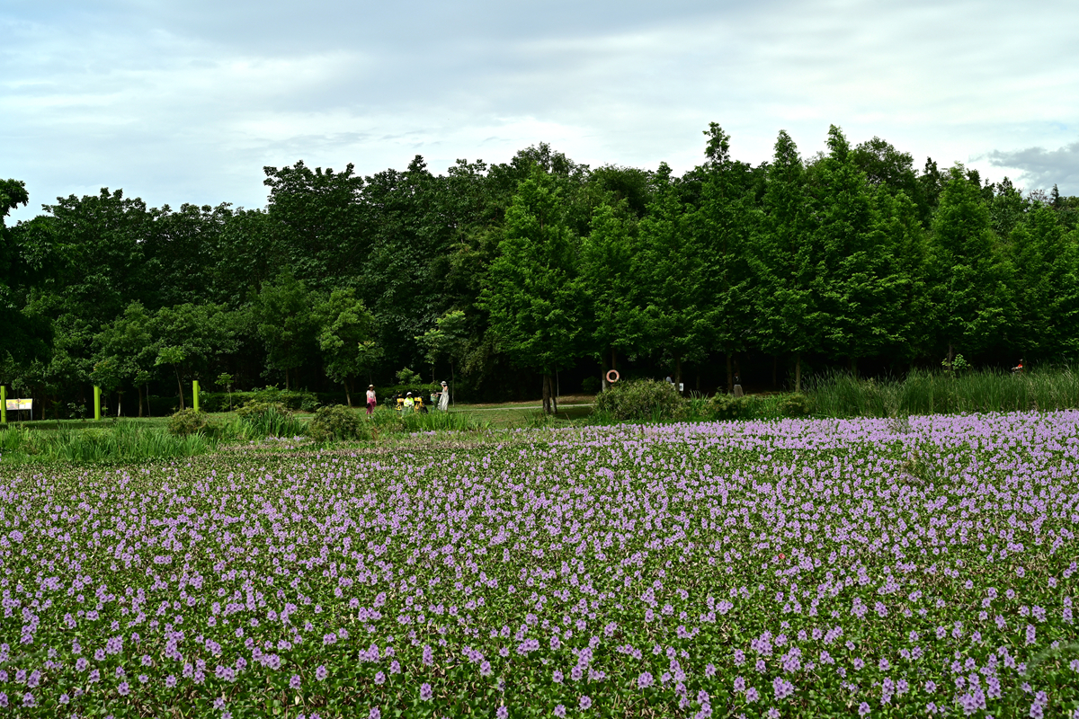 DSC_3548_����.jpg