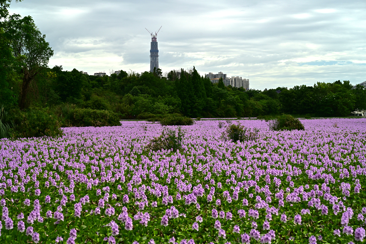 DSC_3554_����.jpg