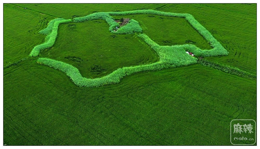 dji_export_20260403_172839_1775208519211_sphere_screenshot.jpg