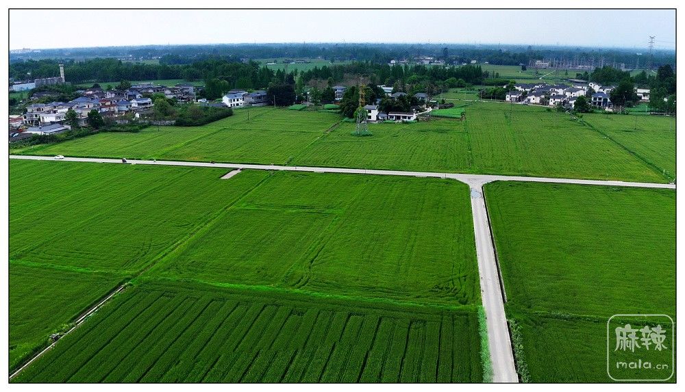 dji_export_20260403_172917_1775208557898_sphere_screenshot.jpg