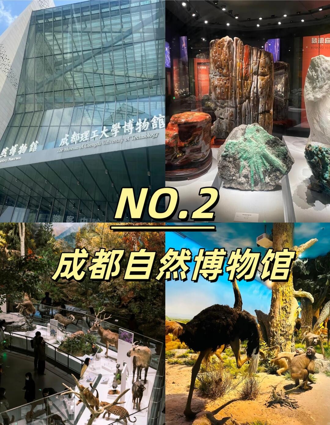 image_3.jpg