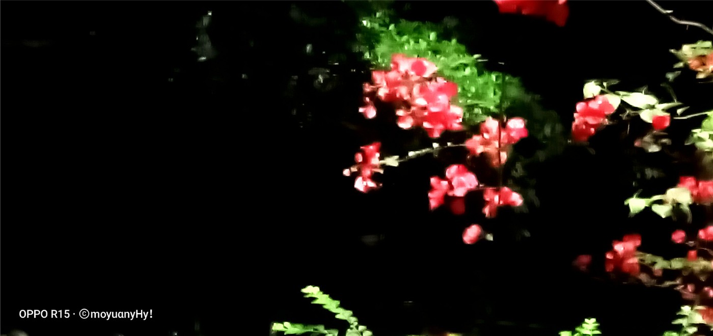 20200510_04.jpg