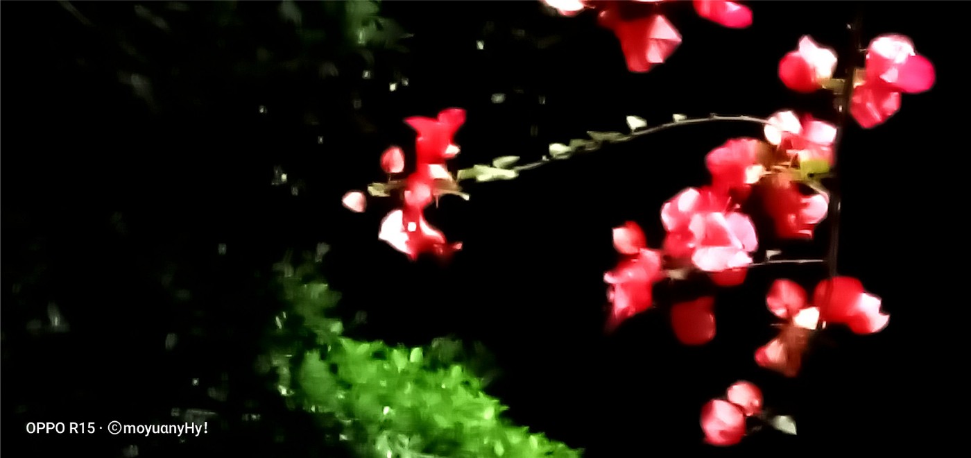 20200510_08.jpg