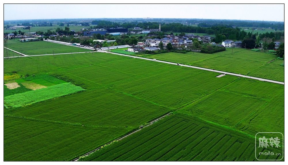 dji_export_20260403_172927_1775208567559_sphere_screenshot.jpg