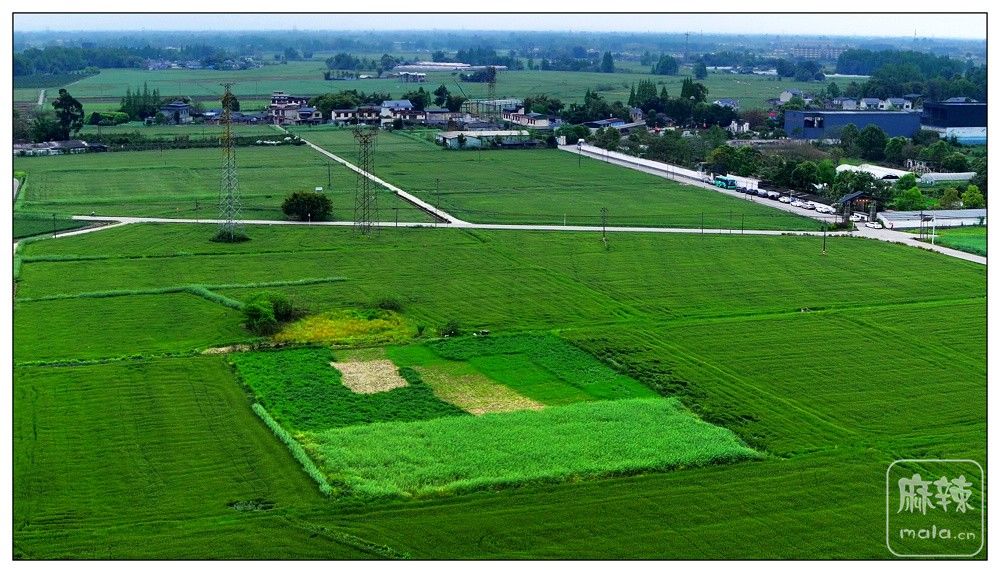 dji_export_20260403_173001_1775208601838_sphere_screenshot.jpg