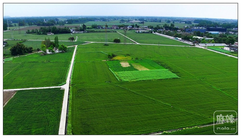 dji_export_20260403_172942_1775208582689_sphere_screenshot.jpg