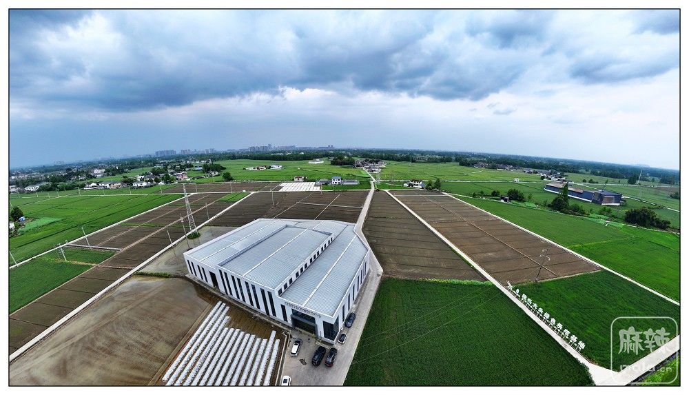 dji_export_20260403_173324_1775208804778_sphere_screenshot.jpg