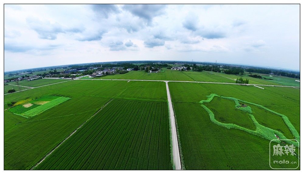 dji_export_20260403_173436_1775208876204_sphere_screenshot.jpg