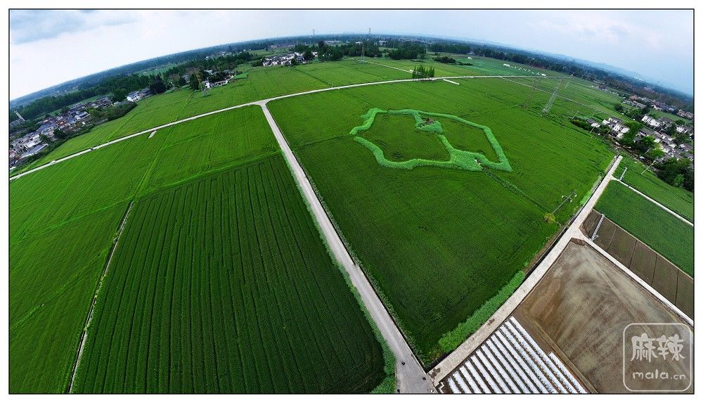 dji_export_20260403_173425_1775208865230_sphere_screenshot.jpg
