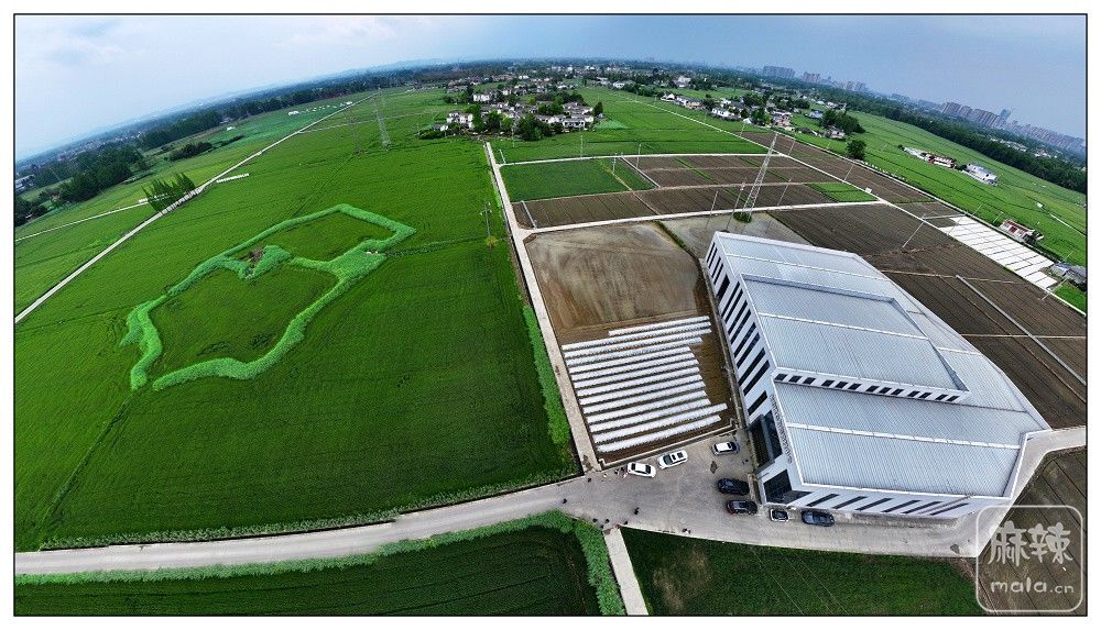 dji_export_20260403_173403_1775208843914_sphere_screenshot.jpg