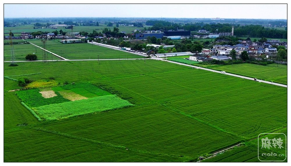 dji_export_20260403_173544_1775208944185_sphere_screenshot.jpg