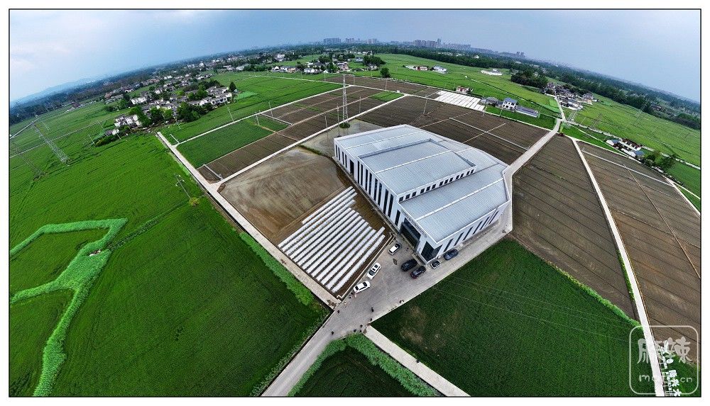 dji_export_20260403_173357_1775208837050_sphere_screenshot.jpg