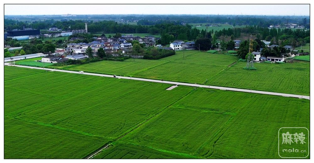 dji_export_20260403_173532_1775208932607_sphere_screenshot.jpg