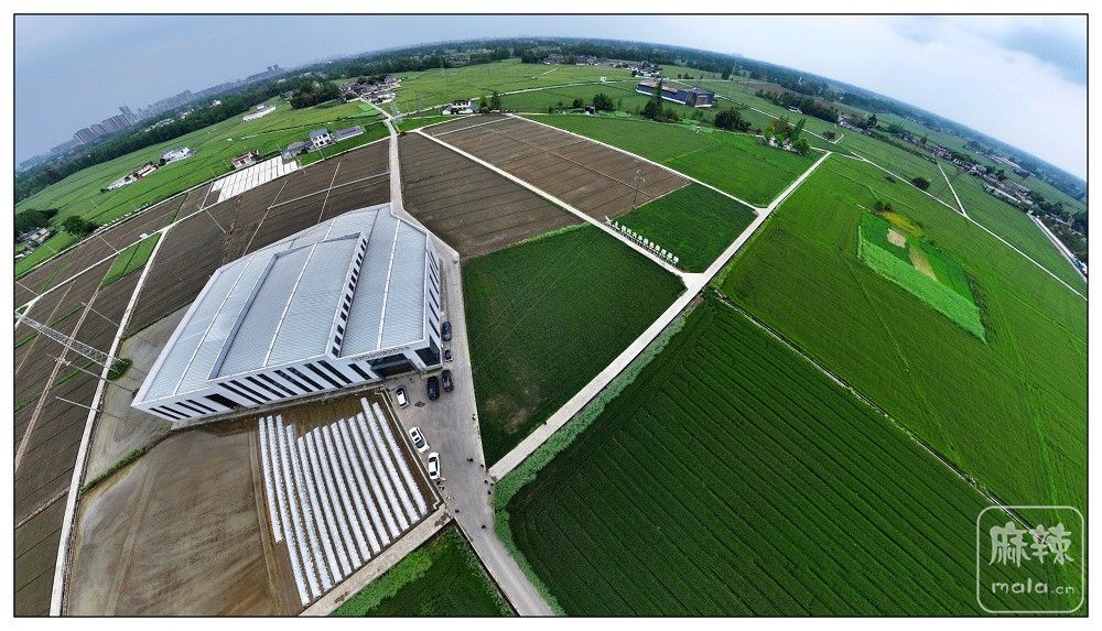 dji_export_20260403_173640_1775209000720_sphere_screenshot.jpg