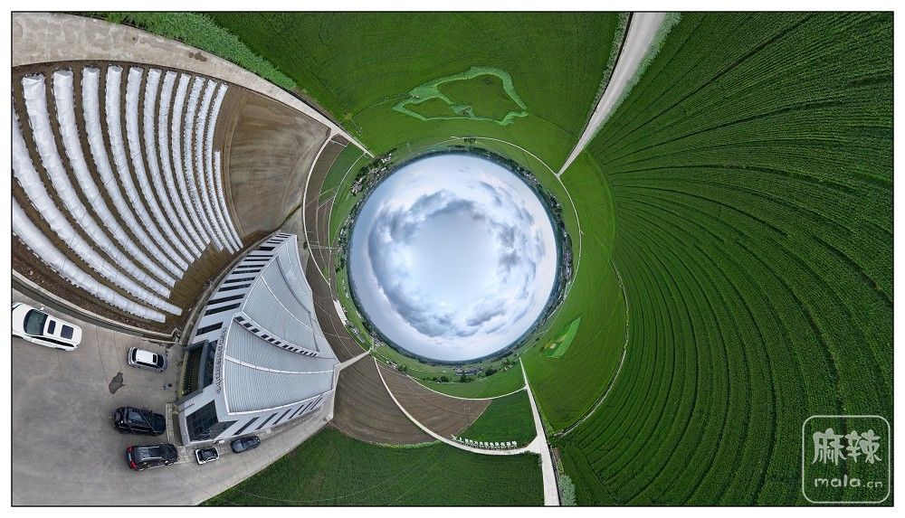 dji_export_20260403_173823_1775209103379_sphere_screenshot.jpg