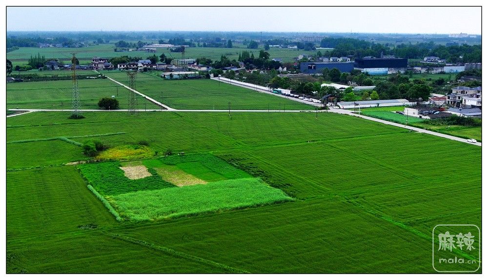 dji_export_20260403_173558_1775208958544_sphere_screenshot.jpg