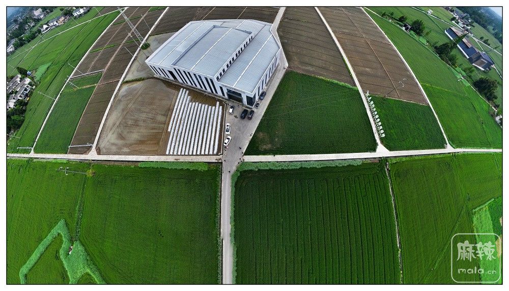 dji_export_20260403_173711_1775209031764_sphere_screenshot.jpg