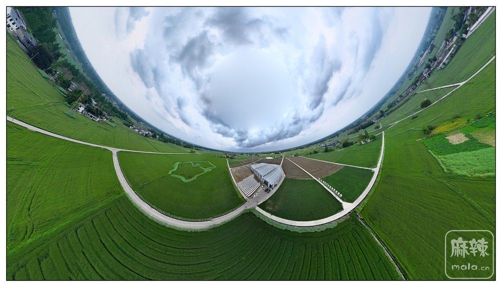 dji_export_20260403_173854_1775209134873_sphere_screenshot.jpg