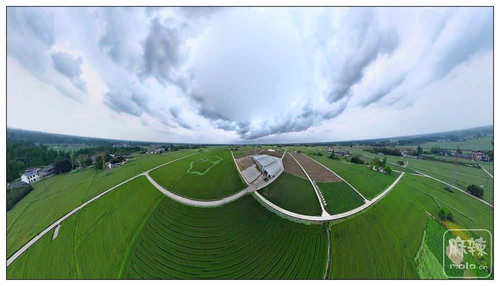 dji_export_20260403_173903_1775209143431_sphere_screenshot.jpg