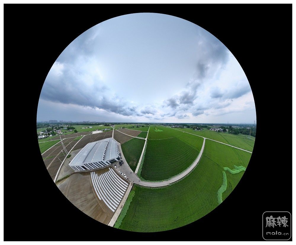dji_export_20260403_174021_1775209221968_sphere_screenshot.jpg