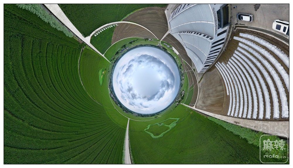 dji_export_20260403_174011_1775209211871_sphere_screenshot.jpg