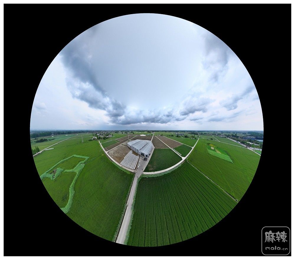 dji_export_20260403_174058_1775209258945_sphere_screenshot.jpg