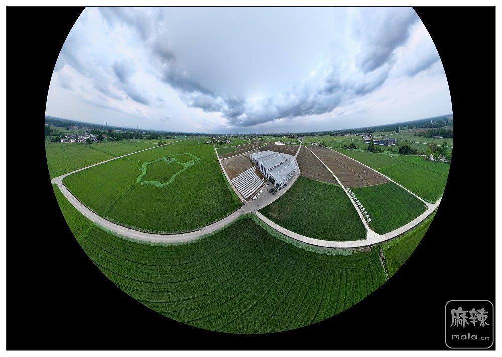 dji_export_20260403_174108_1775209268990_sphere_screenshot.jpg