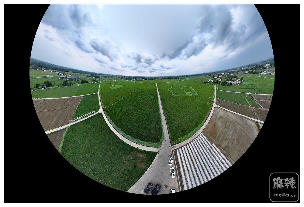 dji_export_20260403_174125_1775209285364_sphere_screenshot.jpg