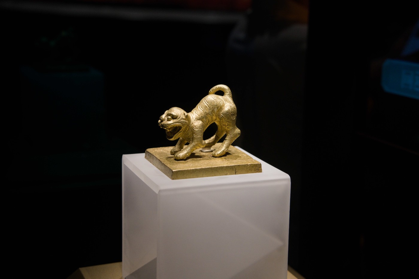 DSC01452.jpg