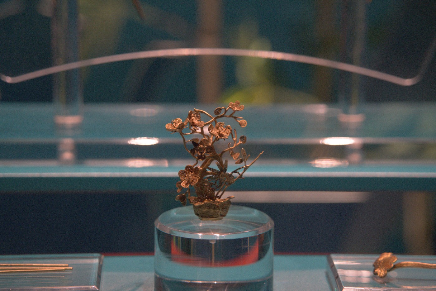 DSC01444.jpg