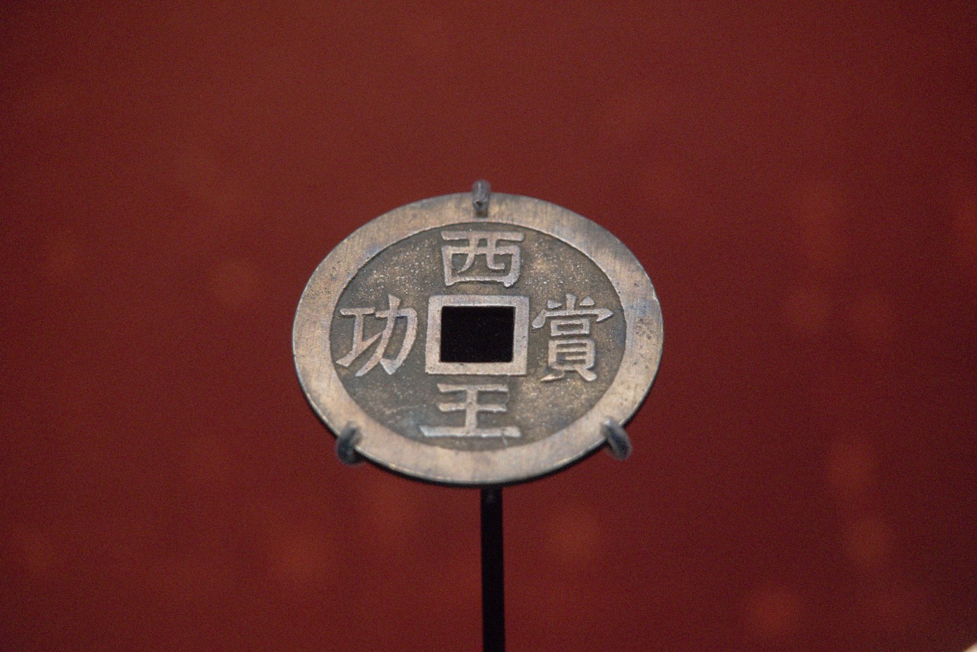 DSC01453.jpg