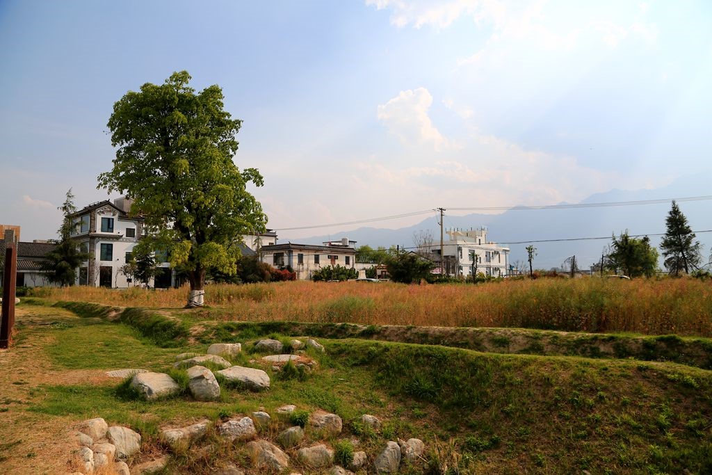 L_JY3027_����.jpg