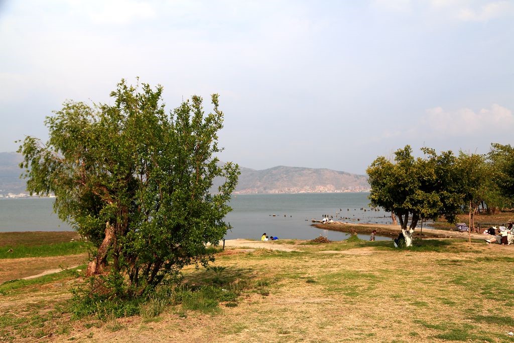 L_JY3035_����.jpg