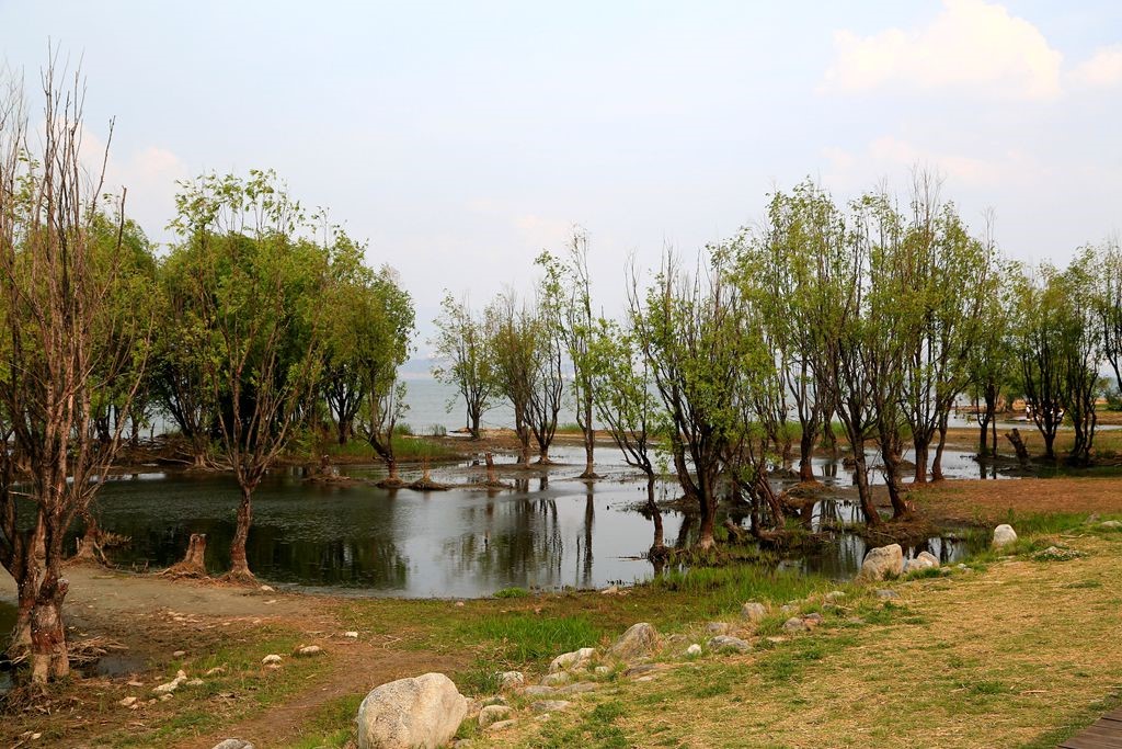 L_JY3041_����.jpg